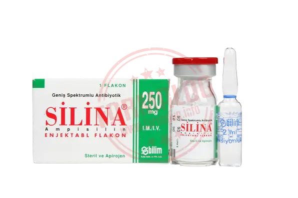 SILINA 250 MG 1 FLAKON